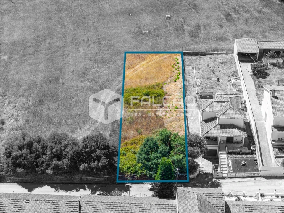 Terreno para Venda em São Vicente do Paul e Vale de Figueira Foto 5