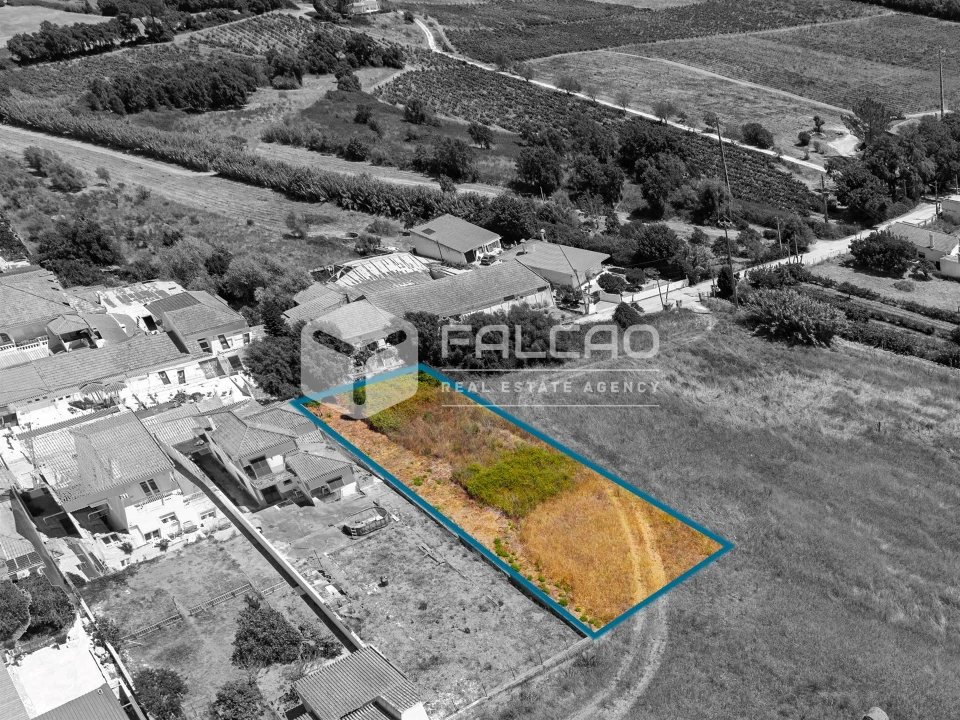 Terreno para Venda em São Vicente do Paul e Vale de Figueira Foto 19