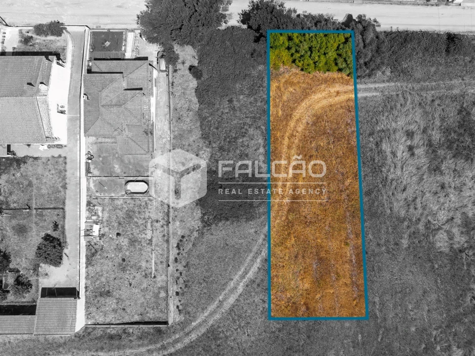 Terreno para Venda em São Vicente do Paul e Vale de Figueira Foto 23