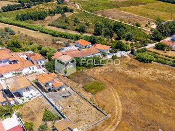 Terreno para Venda em São Vicente do Paul e Vale de Figueira
