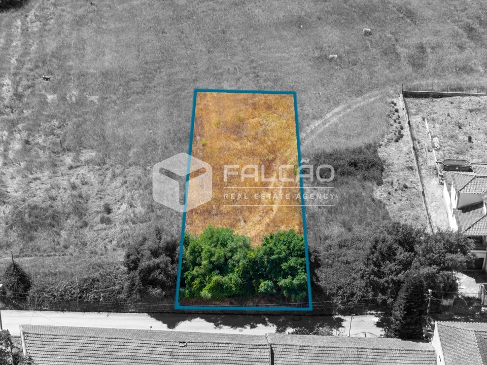 Terreno para Venda em São Vicente do Paul e Vale de Figueira Foto 6