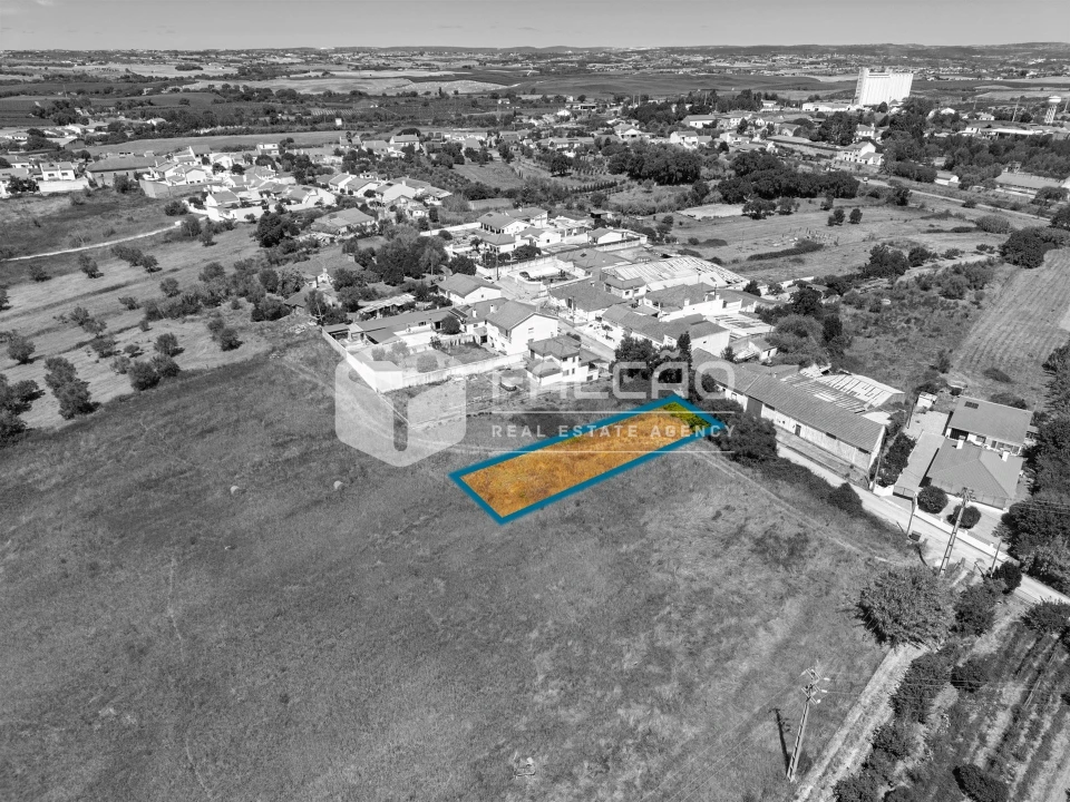 Terreno para Venda em São Vicente do Paul e Vale de Figueira Foto 13