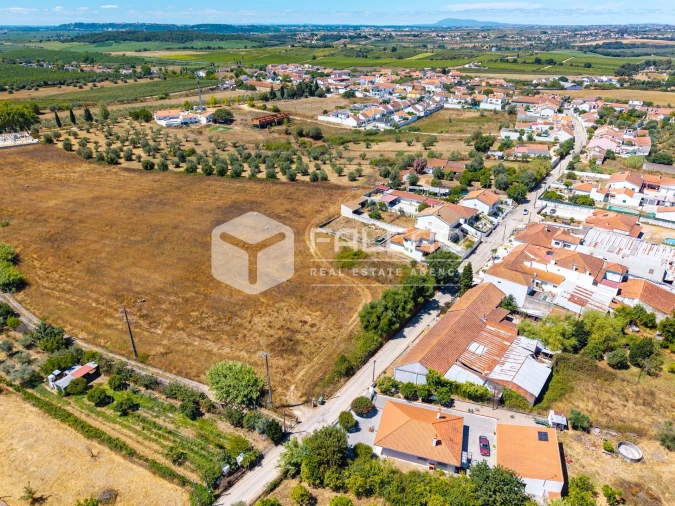 Terreno para Venda em São Vicente do Paul e Vale de Figueira Foto 10