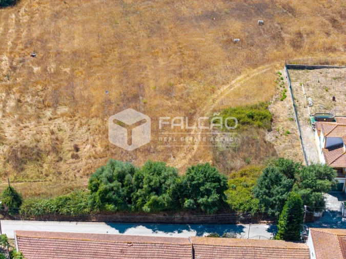 Terreno para Venda em São Vicente do Paul e Vale de Figueira Foto 7