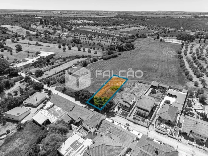Terreno para Venda em São Vicente do Paul e Vale de Figueira Foto 2