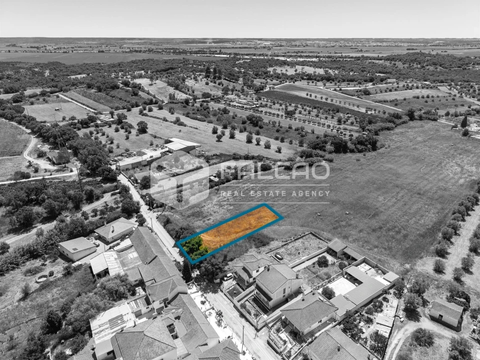 Terreno para Venda em São Vicente do Paul e Vale de Figueira Foto 25
