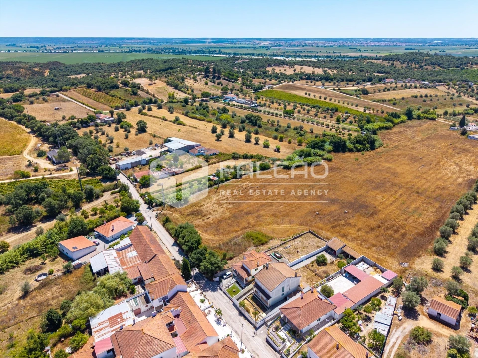 Terreno para Venda em São Vicente do Paul e Vale de Figueira Foto 26