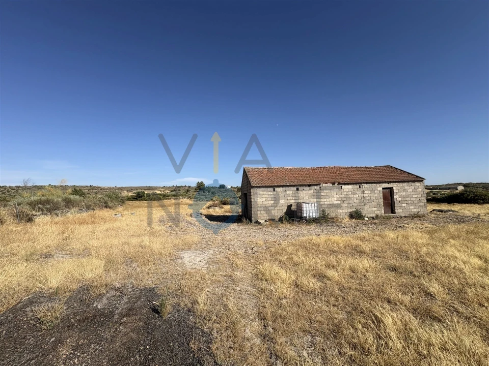 Terreno Agricola ou Rústico para Venda em Adeganha e Cardanha Foto 4