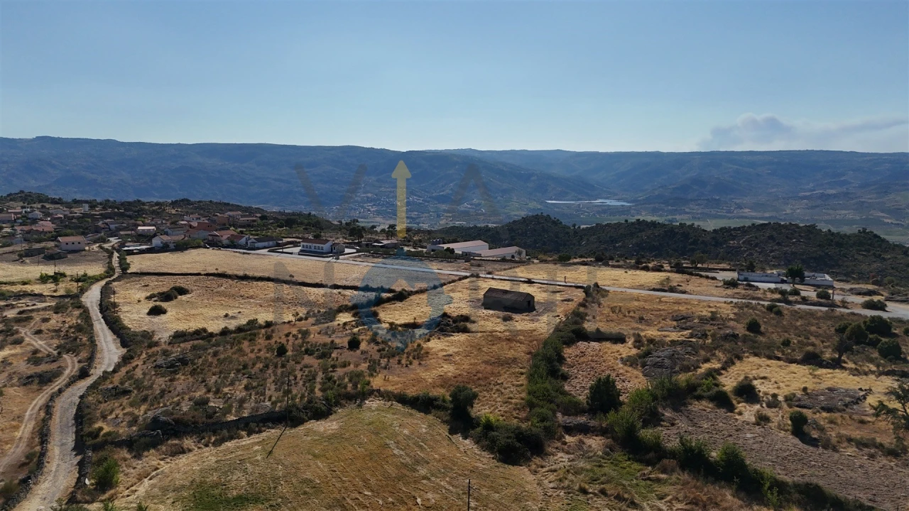 Terreno Agricola ou Rústico para Venda em Adeganha e Cardanha Foto 13