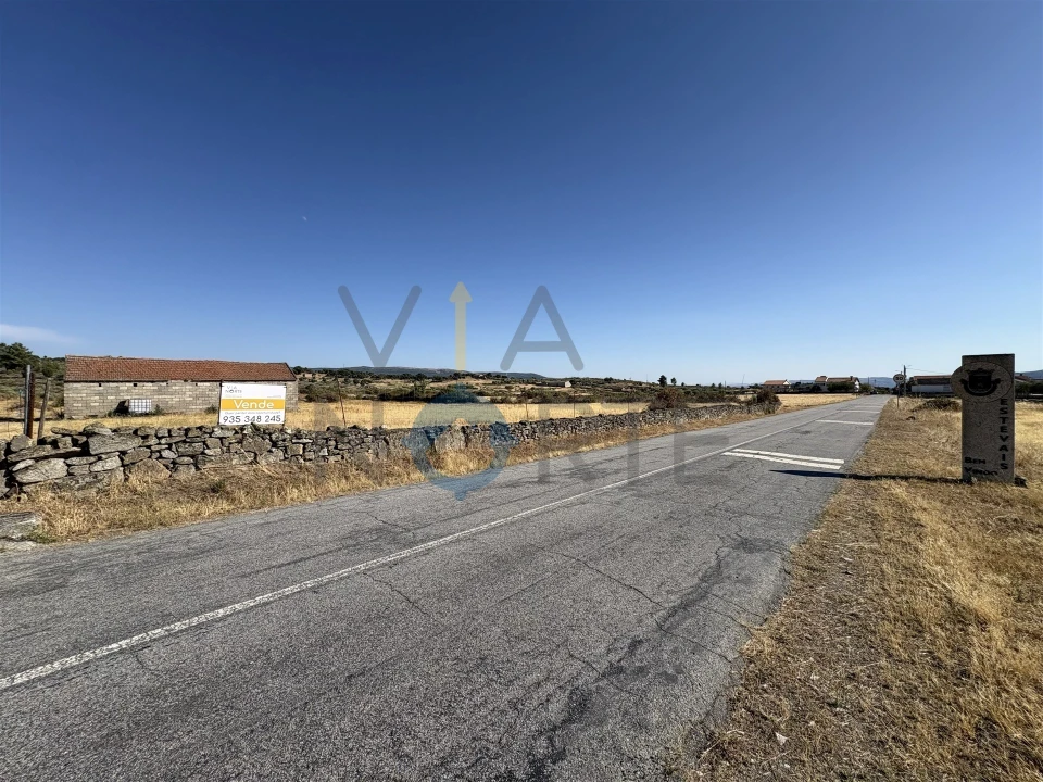 Terreno Agricola ou Rústico para Venda em Adeganha e Cardanha Foto 5