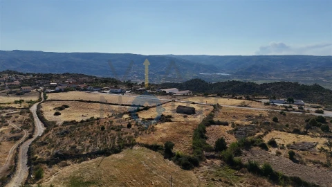 Terreno Agricola ou Rústico para Venda em Adeganha e Cardanha