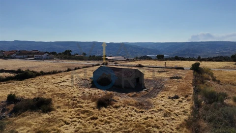 Terreno Agricola ou Rústico para Venda em Adeganha e Cardanha