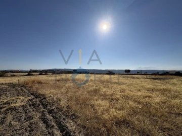 Terreno Agricola ou Rústico para Venda em Adeganha e Cardanha