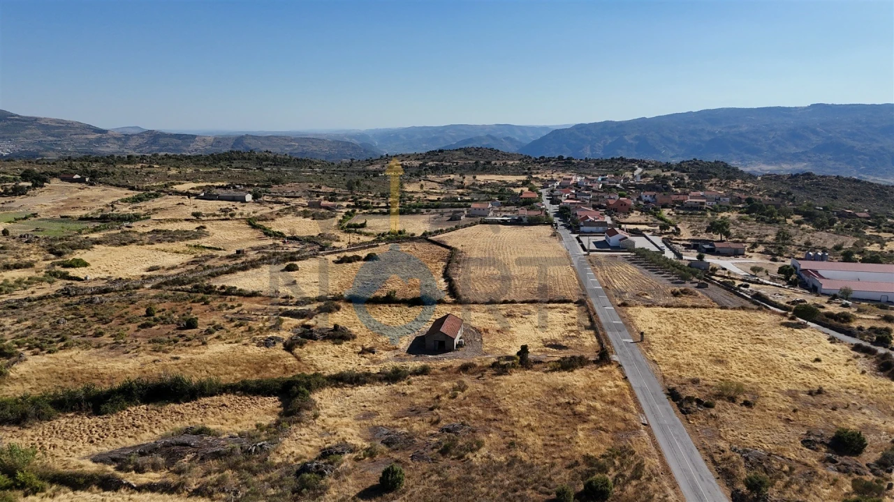 Terreno Agricola ou Rústico para Venda em Adeganha e Cardanha Foto 14