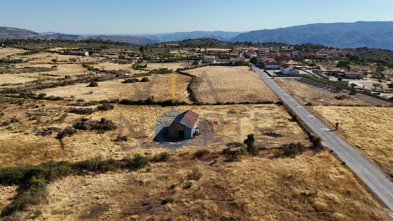Terreno Agricola ou Rústico para Venda em Adeganha e Cardanha Foto 2