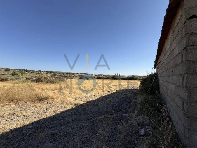 Terreno Agricola ou Rústico para Venda em Adeganha e Cardanha Foto 9