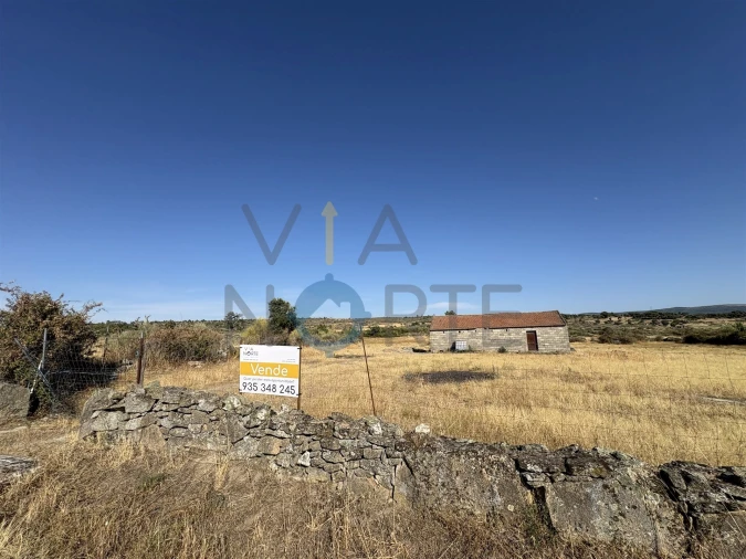 Terreno Agricola ou Rústico para Venda em Adeganha e Cardanha Foto 3