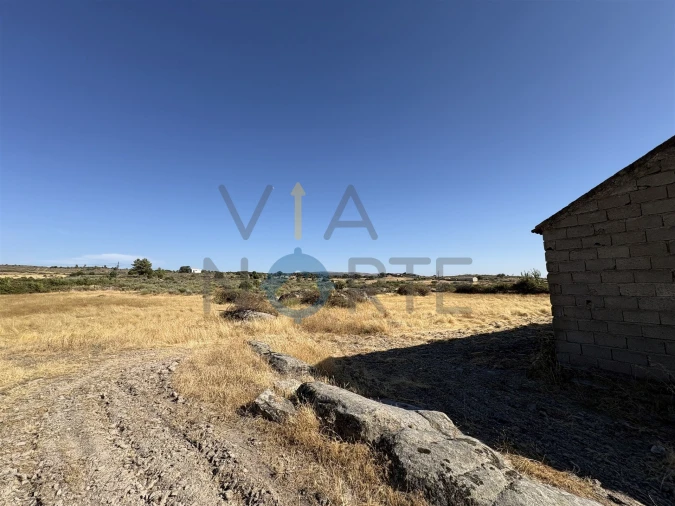 Terreno Agricola ou Rústico para Venda em Adeganha e Cardanha Foto 8