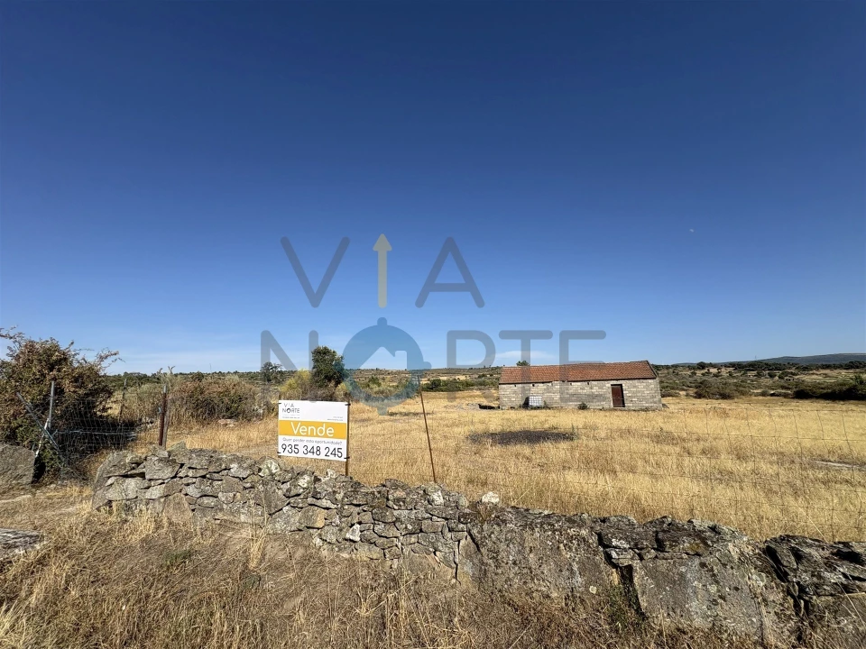 Terreno Agricola ou Rústico para Venda em Adeganha e Cardanha Foto 3