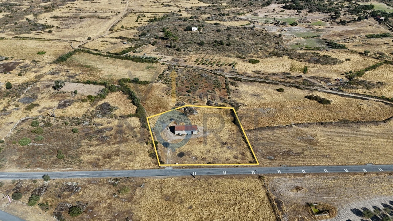 Terreno Agricola ou Rústico para Venda em Adeganha e Cardanha Foto 1