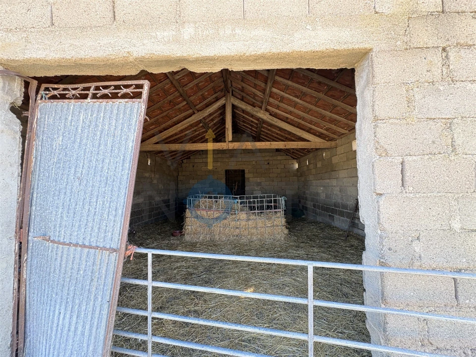 Terreno Agricola ou Rústico para Venda em Adeganha e Cardanha Foto 10