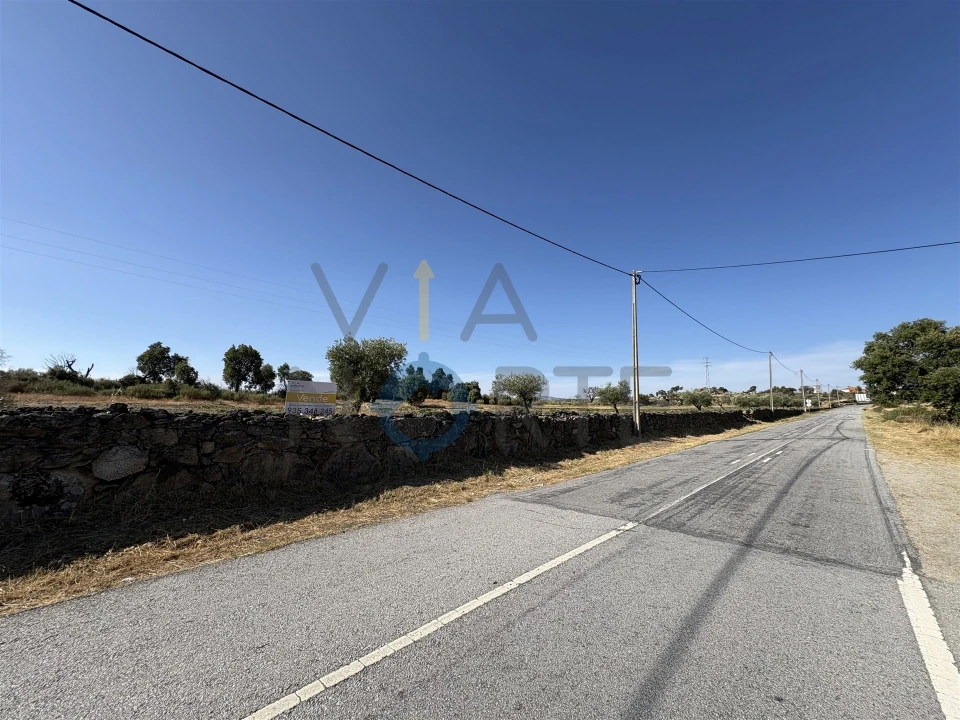 Terreno Agricola ou Rústico para Venda em Adeganha e Cardanha Foto 9