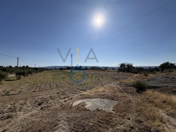 Terreno Agricola ou Rústico para Venda em Adeganha e Cardanha