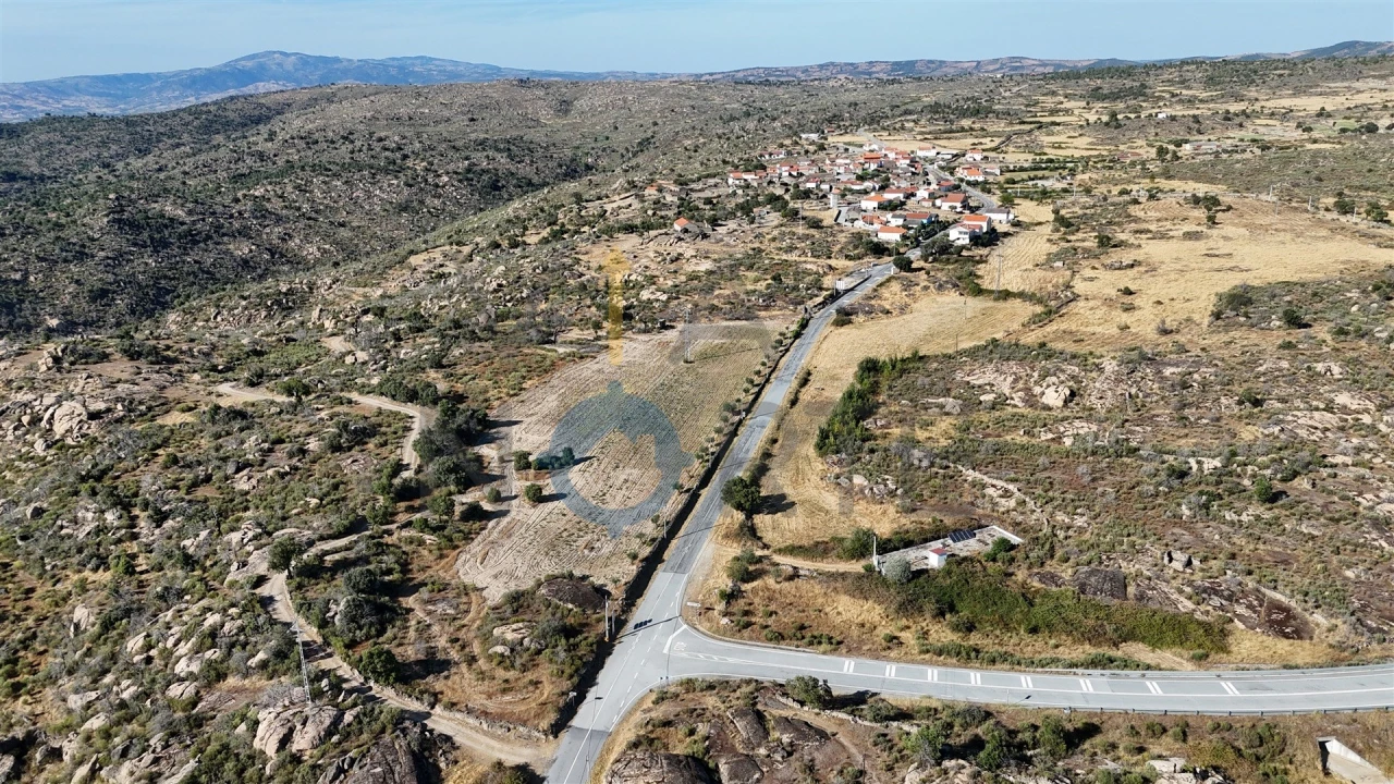 Terreno Agricola ou Rústico para Venda em Adeganha e Cardanha Foto 4