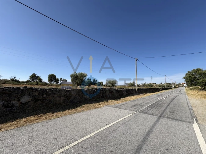 Terreno Agricola ou Rústico para Venda em Adeganha e Cardanha Foto 9