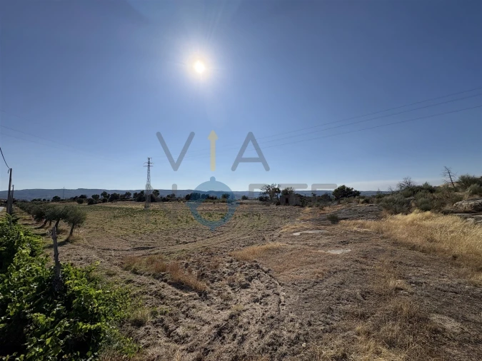 Terreno Agricola ou Rústico para Venda em Adeganha e Cardanha Foto 12