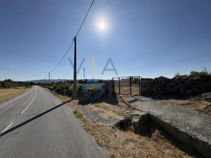 Terreno Agricola ou Rústico para Venda em Adeganha e Cardanha Foto 11