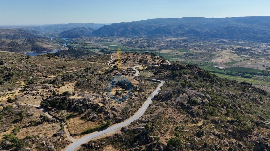 Terreno Agricola ou Rústico para Venda em Adeganha e Cardanha Foto 3