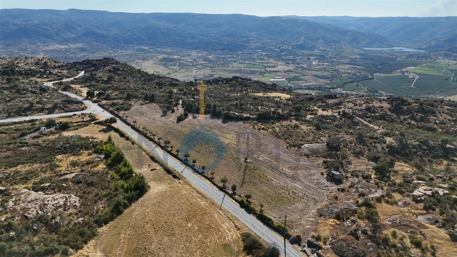 Terreno Agricola ou Rústico para Venda em Adeganha e Cardanha Foto 6