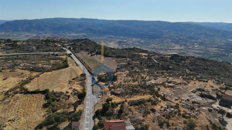 Terreno Agricola ou Rústico para Venda em Adeganha e Cardanha Foto 7