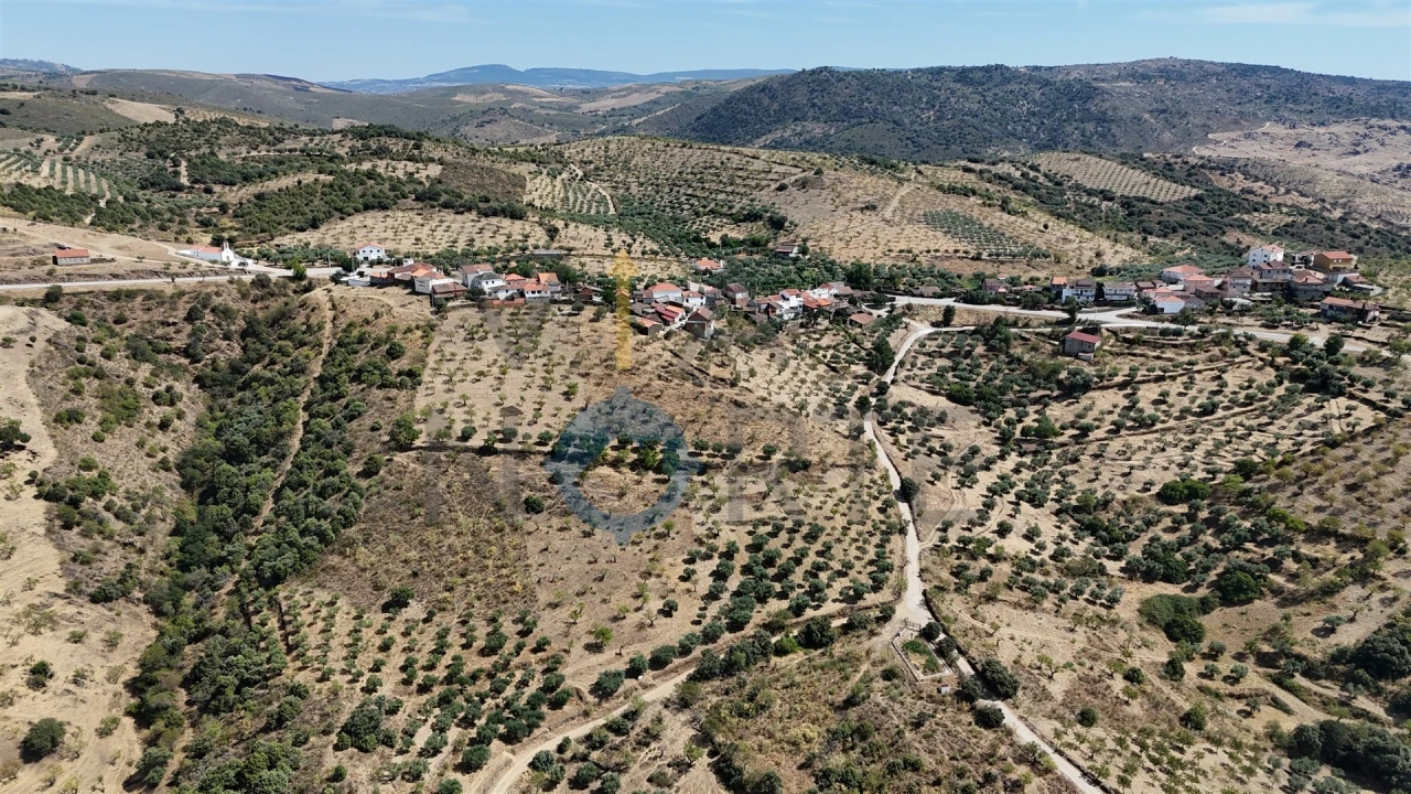 Terreno Agricola ou Rústico para Venda em Adeganha e Cardanha Foto 4