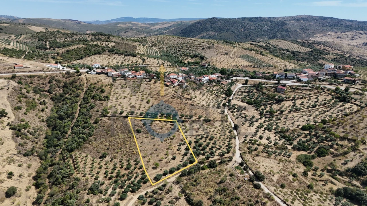 Terreno Agricola ou Rústico para Venda em Adeganha e Cardanha Foto 1