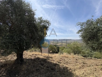 Terreno Agricola ou Rústico para Venda em Adeganha e Cardanha