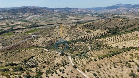 Terreno Agricola ou Rústico para Venda em Adeganha e Cardanha