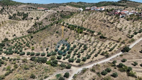 Terreno Agricola ou Rústico para Venda em Adeganha e Cardanha