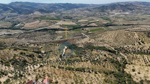 Terreno Agricola ou Rústico para Venda em Adeganha e Cardanha