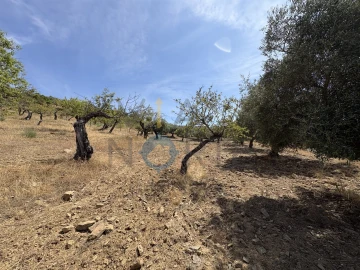 Terreno Agricola ou Rústico para Venda em Adeganha e Cardanha