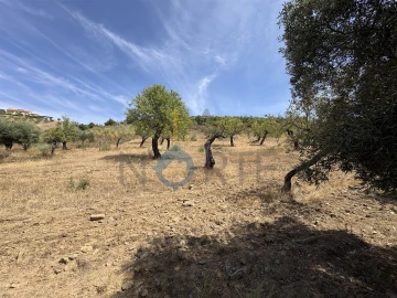 Terreno Agricola ou Rústico para Venda em Adeganha e Cardanha