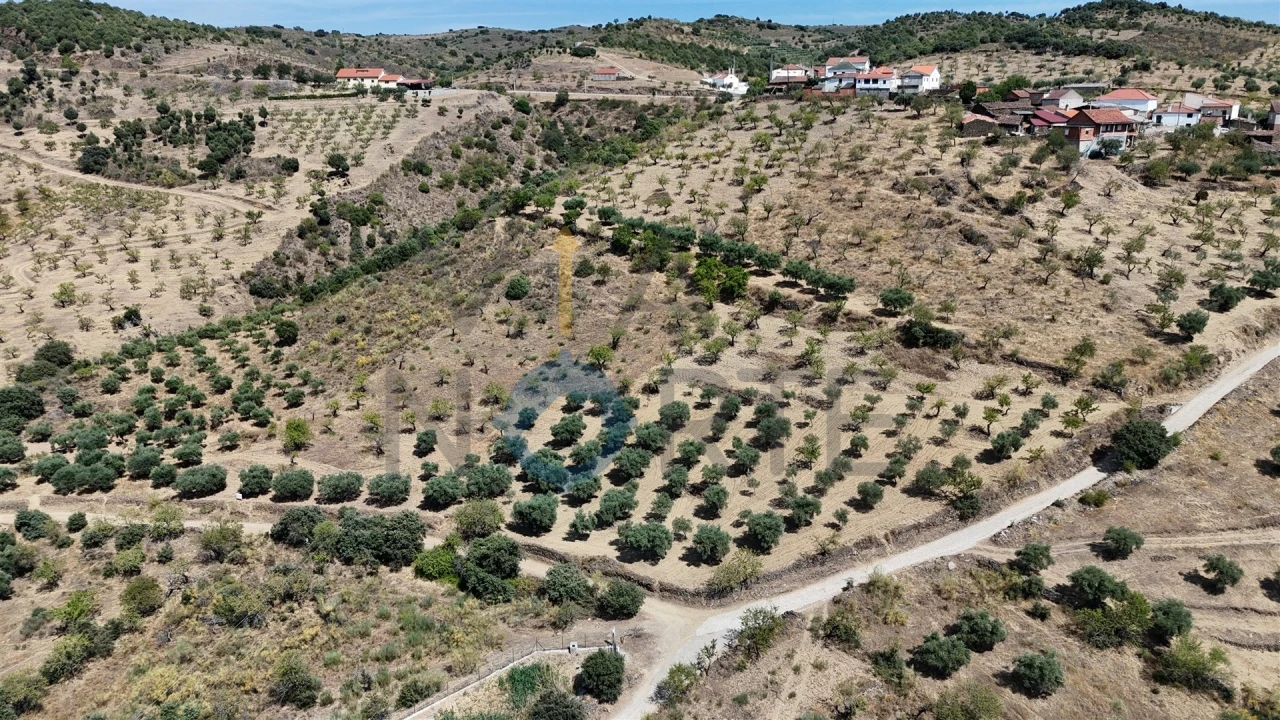 Terreno Agricola ou Rústico para Venda em Adeganha e Cardanha Foto 7