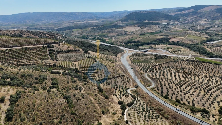 Terreno Agricola ou Rústico para Venda em Adeganha e Cardanha Foto 5