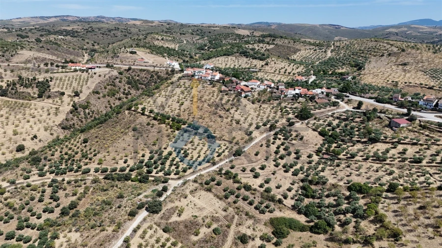 Terreno Agricola ou Rústico para Venda em Adeganha e Cardanha Foto 6