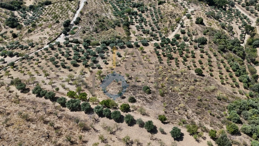 Terreno Agricola ou Rústico para Venda em Adeganha e Cardanha Foto 3
