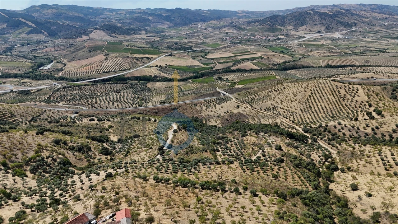 Terreno Agricola ou Rústico para Venda em Adeganha e Cardanha Foto 2