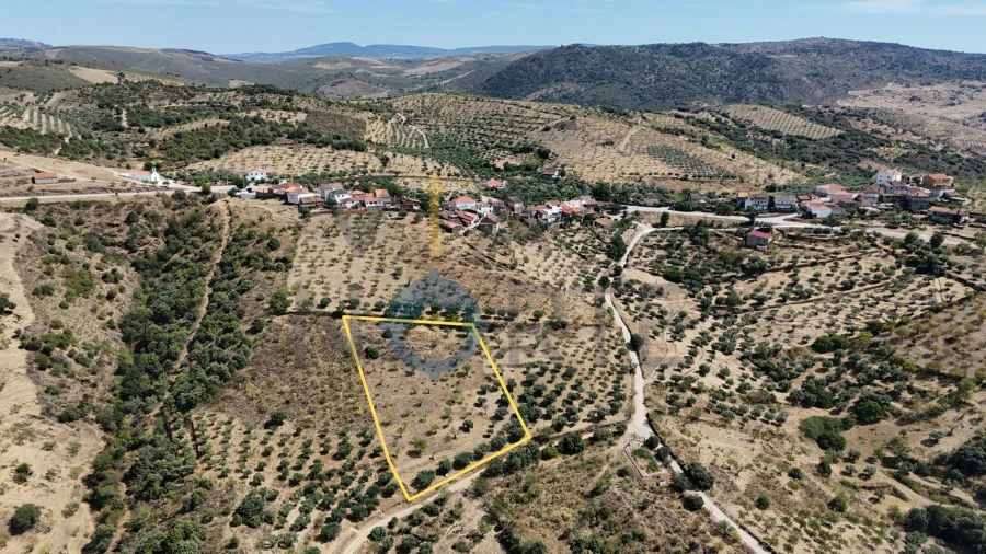 Terreno Agricola ou Rústico para Venda em Adeganha e Cardanha