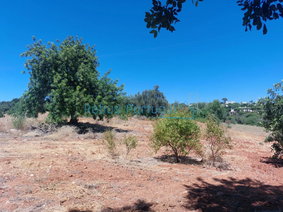Terreno Misto para Venda em Almancil Foto 8