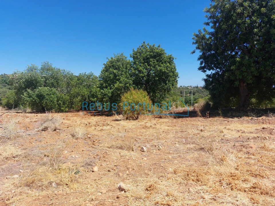 Terreno Misto para Venda em Almancil Foto 7